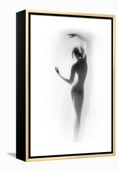 Ballet-Shadow-Framed Stretched Canvas