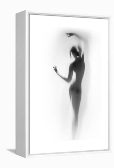 Ballet-Shadow-Framed Stretched Canvas