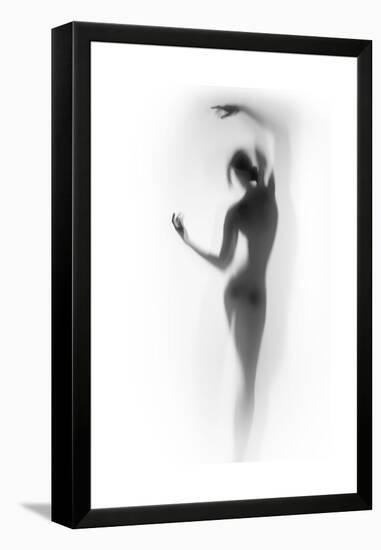 Ballet-Shadow-Framed Stretched Canvas