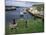 Ballintoy Harbour, County Antrim, Ulster, Northern Ireland, United Kingdom-Roy Rainford-Mounted Photographic Print