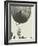 Balloon Race, 1908-The Chelsea Collection-Framed Giclee Print