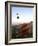 Balloon Ride over Cappadocia, Turkey-Joe Restuccia III-Framed Photographic Print