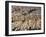 Balloon Ride over Cappadocia, Turkey-Joe Restuccia III-Framed Photographic Print