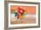 Balloon Ride-Nancy Tillman-Framed Premium Giclee Print