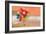 Balloon Ride-Nancy Tillman-Framed Premium Giclee Print