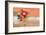 Balloon Ride-Nancy Tillman-Framed Art Print