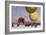 Ballooning at the Berliner Verein Fur Luftfahrt-Philipp Braumuller-Framed Giclee Print