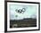 Balloons in the Shape of the Olympic Rings Being Released at the Summer Olympics Opening Ceremonies-John Dominis-Framed Photographic Print