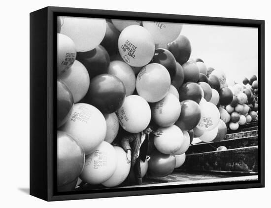 Balloons Lying on Ground Prior to Release-Ralph Crane-Framed Premier Image Canvas