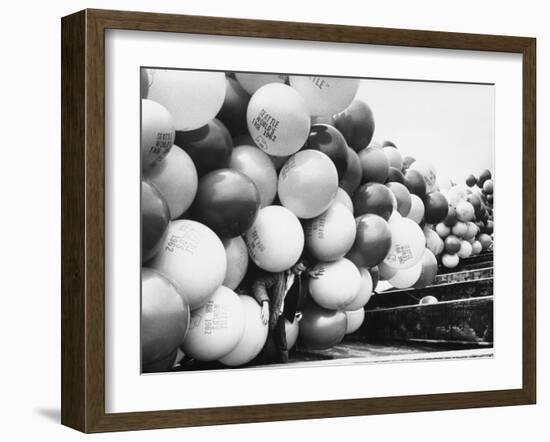 Balloons Lying on Ground Prior to Release-Ralph Crane-Framed Photographic Print