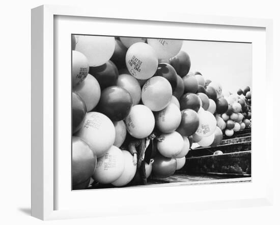 Balloons Lying on Ground Prior to Release-Ralph Crane-Framed Photographic Print