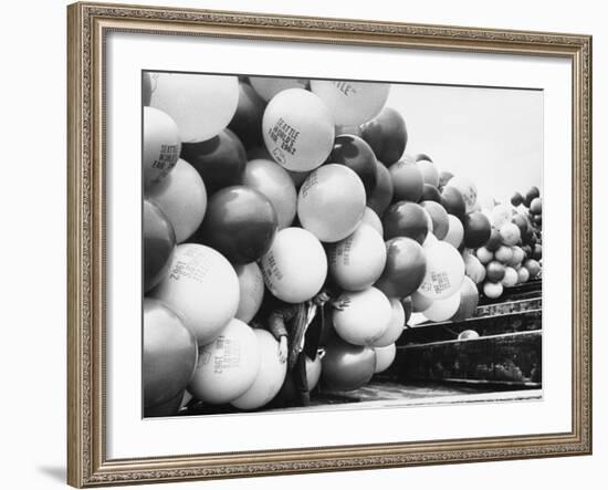 Balloons Lying on Ground Prior to Release-Ralph Crane-Framed Photographic Print