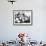 Balloons Lying on Ground Prior to Release-Ralph Crane-Framed Photographic Print displayed on a wall