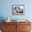 Balloons Lying on Ground Prior to Release-Ralph Crane-Framed Photographic Print displayed on a wall