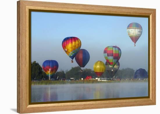 Balloons over Waikato Festival, Lake Rotoroa, North Island, New Zealand-David Wall-Framed Premier Image Canvas