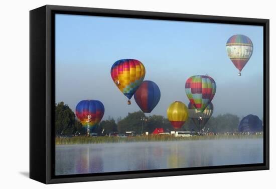 Balloons over Waikato Festival, Lake Rotoroa, North Island, New Zealand-David Wall-Framed Premier Image Canvas