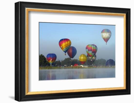 Balloons over Waikato Festival, Lake Rotoroa, North Island, New Zealand-David Wall-Framed Photographic Print