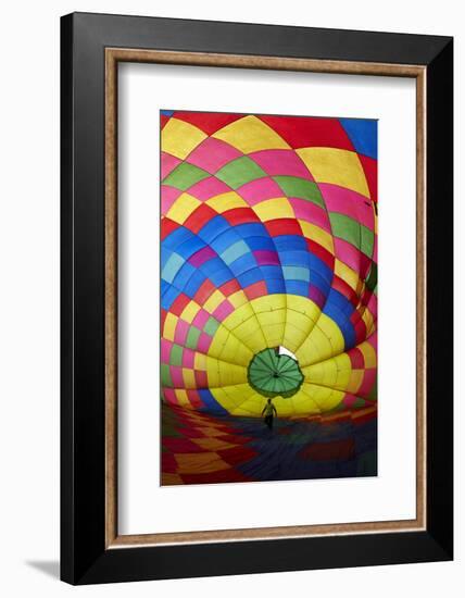 Balloons over Waikato Festival, Lake Rotoroa, North Island, New Zealand-David Wall-Framed Photographic Print