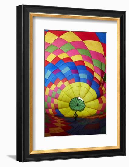 Balloons over Waikato Festival, Lake Rotoroa, North Island, New Zealand-David Wall-Framed Photographic Print