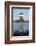 Balloons over Waikato Festival, Lake Rotoroa, North Island, New Zealand-David Wall-Framed Photographic Print