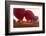 Balloons Taking Off at Bagan, Myanmar-Harry Marx-Framed Photographic Print