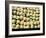 Ballots de Coton-Yann Arthus-Bertrand-Framed Art Print