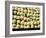 Ballots de Coton-Yann Arthus-Bertrand-Framed Art Print