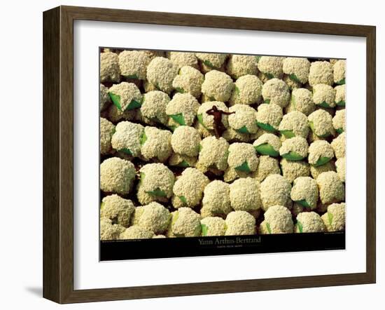 Ballots de Coton-Yann Arthus-Bertrand-Framed Art Print