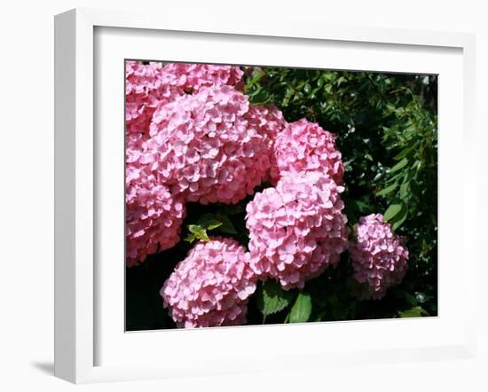 Balls-Ryuji Adachi-Framed Photographic Print