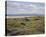 Ballybunion, 15th-Peter Munro-Framed Stretched Canvas