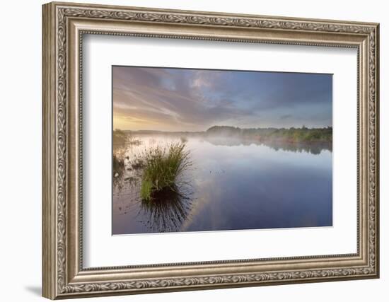 Ballynahone Bog at Dawn, County Antrim, Northern Ireland, UK, June 2011-Ben Hall-Framed Photographic Print