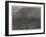 Balmadie's Cinchona Plantation Near Dolacamund, Madras Presidency-null-Framed Giclee Print