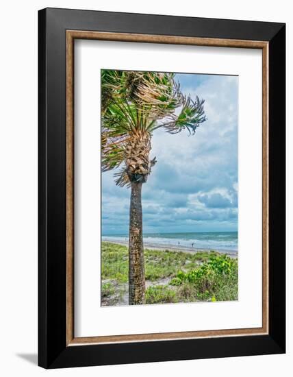 Balmy-Mary Lou Johnson-Framed Photo