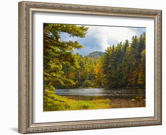 Balsam Lake in the Nantahala National Forest, Jackson County, North Carolina, United States of A...-Panoramic Images-Framed Photographic Print