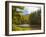 Balsam Lake in the Nantahala National Forest, Jackson County, North Carolina, United States of A...-Panoramic Images-Framed Photographic Print