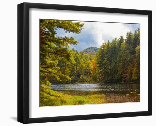 Balsam Lake in the Nantahala National Forest, Jackson County, North Carolina, United States of A...-Panoramic Images-Framed Photographic Print