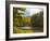 Balsam Lake in the Nantahala National Forest, Jackson County, North Carolina, United States of A...-Panoramic Images-Framed Photographic Print