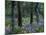 Balsam Root and Lupine Among Pacific Ponderosa Pine, Rowena, Oregon, USA-Jamie & Judy Wild-Mounted Photographic Print