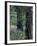 Balsam Root and Lupines Among Pacific Ponderosa Pine, Rowena, Oregon, USA-Jamie & Judy Wild-Framed Photographic Print