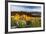 Balsam Root Flowers Above Missoula Valley, Missoula, Montana-James White-Framed Photographic Print