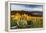 Balsam Root Flowers Above Missoula Valley, Missoula, Montana-James White-Framed Premier Image Canvas