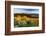 Balsam Root Flowers Above Missoula Valley, Missoula, Montana-James White-Framed Photographic Print