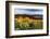 Balsam Root Flowers Above Missoula Valley, Missoula, Montana-James White-Framed Photographic Print