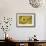 Balsamroot 2-Don Paulson-Framed Giclee Print displayed on a wall