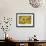 Balsamroot 2-Don Paulson-Framed Giclee Print displayed on a wall