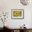 Balsamroot 2-Don Paulson-Framed Giclee Print displayed on a wall