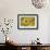 Balsamroot 2-Don Paulson-Framed Giclee Print displayed on a wall