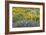 Balsamroot and Lupine 3-Don Paulson-Framed Giclee Print