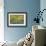 Balsamroot and Lupine 3-Don Paulson-Framed Giclee Print displayed on a wall