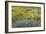 Balsamroot and Lupine 3-Don Paulson-Framed Giclee Print